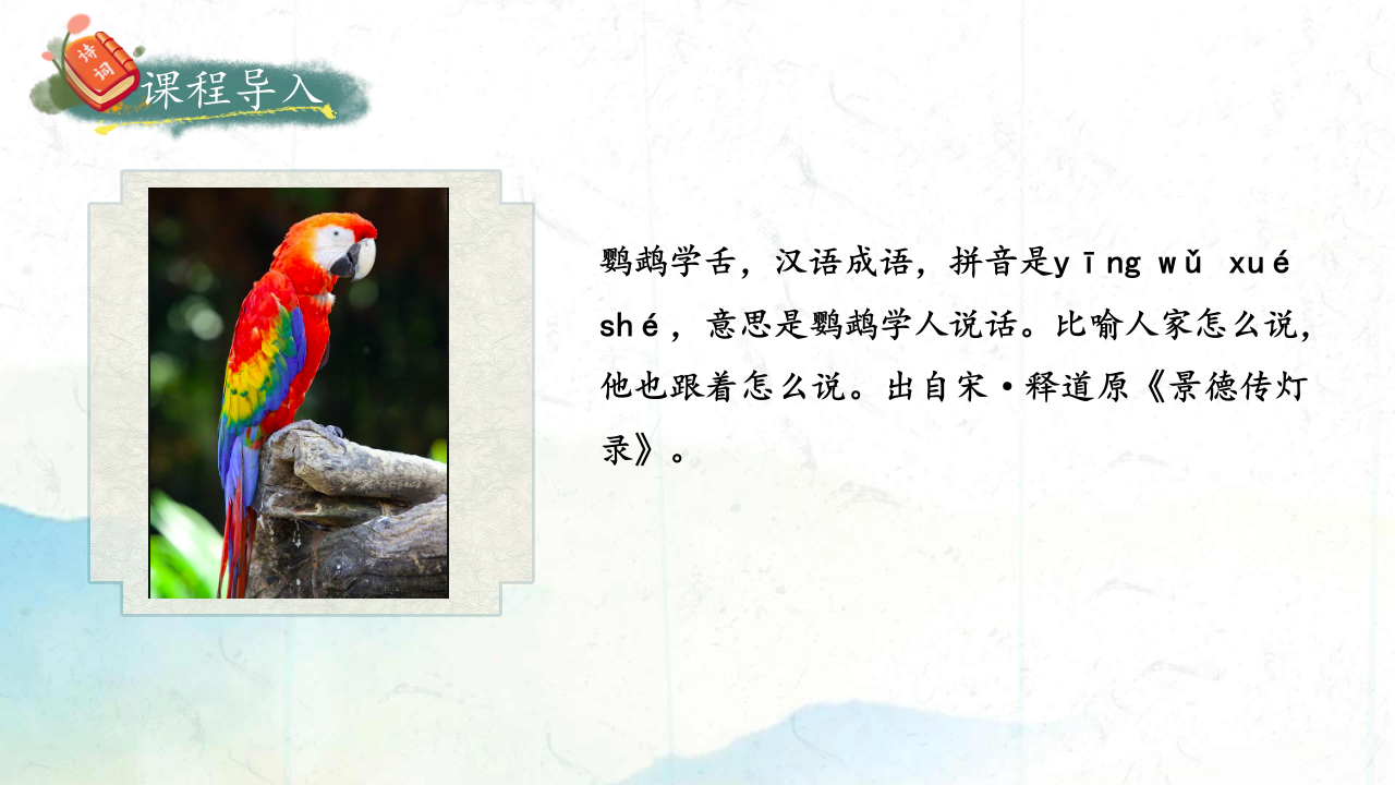 Scratch趣味数学编程《鹦鹉学舌》PPT课件 第2页